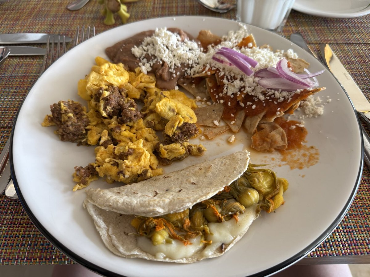 arielmou's tweet photo. Buenos días!

#VisitMexico #Acapulco https://t.co/bKUzzNPr8m