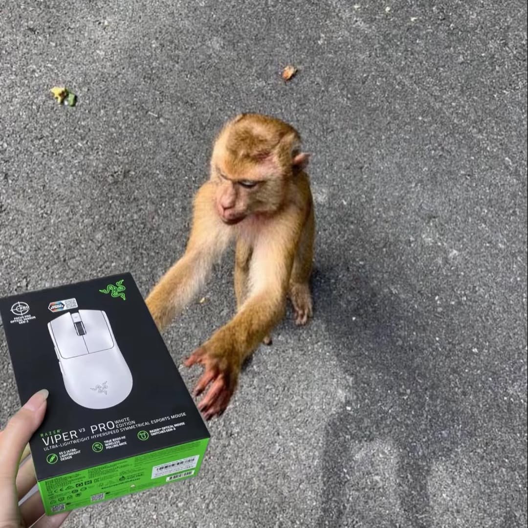 sleunch (@sleunch) on Twitter photo 