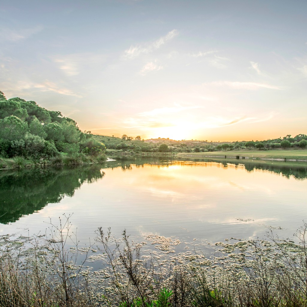 Lose yourself in the vibrant greens and golden light of the Eastern Algarve - a truly magical place to explore. 🌄⁠