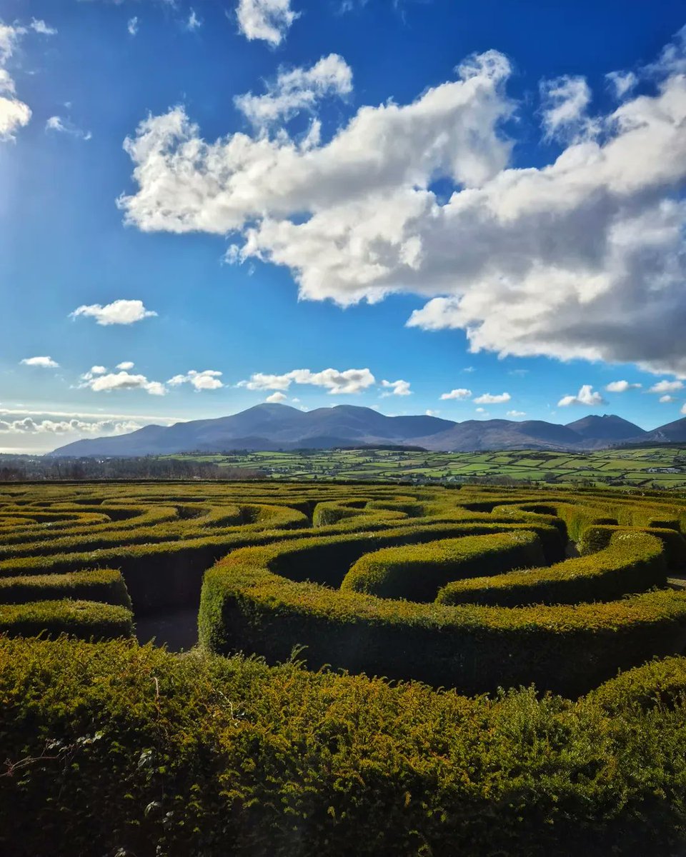 Nestled in the heart of County Down, Northern Ireland, Castlewellan Forest Park spans 460 hectares of diverse landscapes, offering equal parts adventure and tranquility.
 
 📍Castlewellan Forest Park, County Down
  📸 instagram.com/the_little_gal…