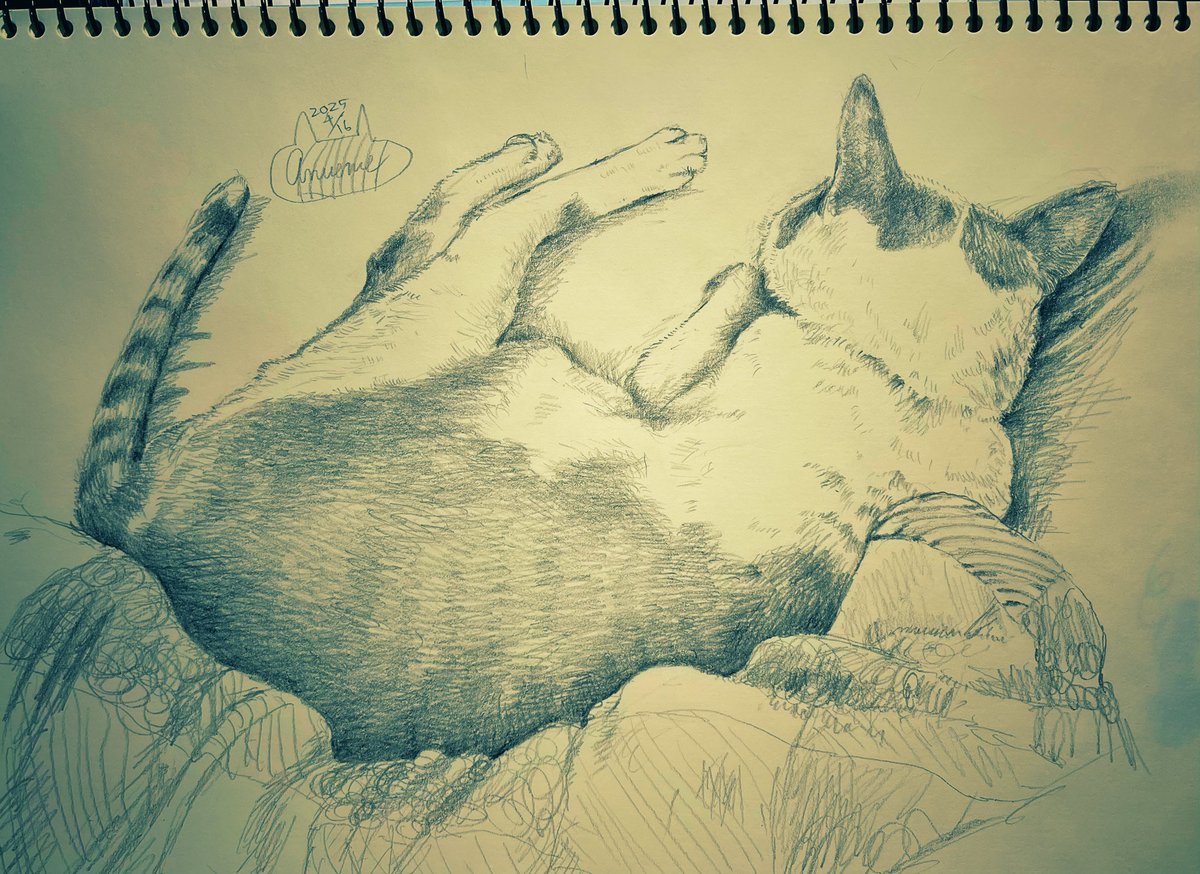 Happy Cat croquis🐱🎀

30分くらいかな？
2Bと3B鉛筆✏

加工したら羊皮紙風になった🐑✨
元はmuseのQFクロッキー帳📖´-

  #cat 
  #クロッキー 
  #sketch