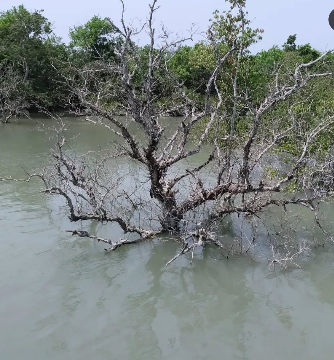 काव्य कुटीर tweet media