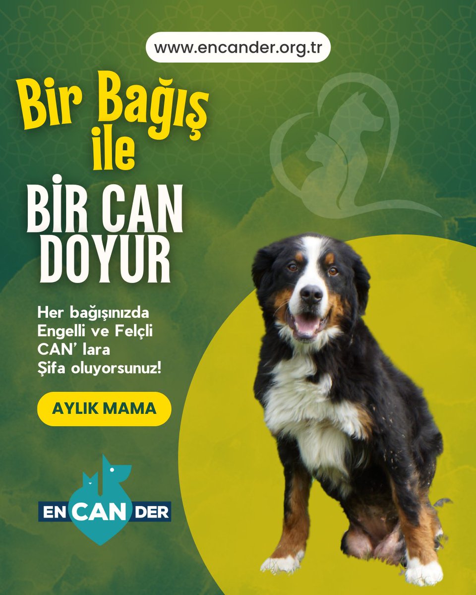 Mama konusunda birlikte başarmak adına sizlere seslenmek istedik.

Mevcut bağışlarla ancak kısa vadeli çözümler üretebildik, sadece 1 haftalık mama alımı oldu. Şimdi birlikte toplu mama alarak, canların sağlıkla yaşaması, karnı tok olması ancak sizinle mümkün.