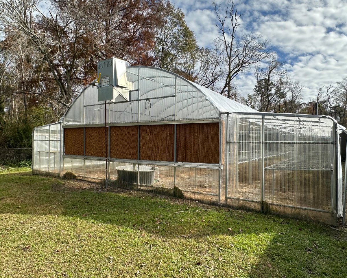 LACleanH2Energy's tweet image. A $50,000 grant from the Air Products Foundation to Livingston Parish will help the Maurepas School rebuild its greenhouse, which was destroyed by Hurricane Ida in 2021. Read more here: brnw.ch/21wS0Lo