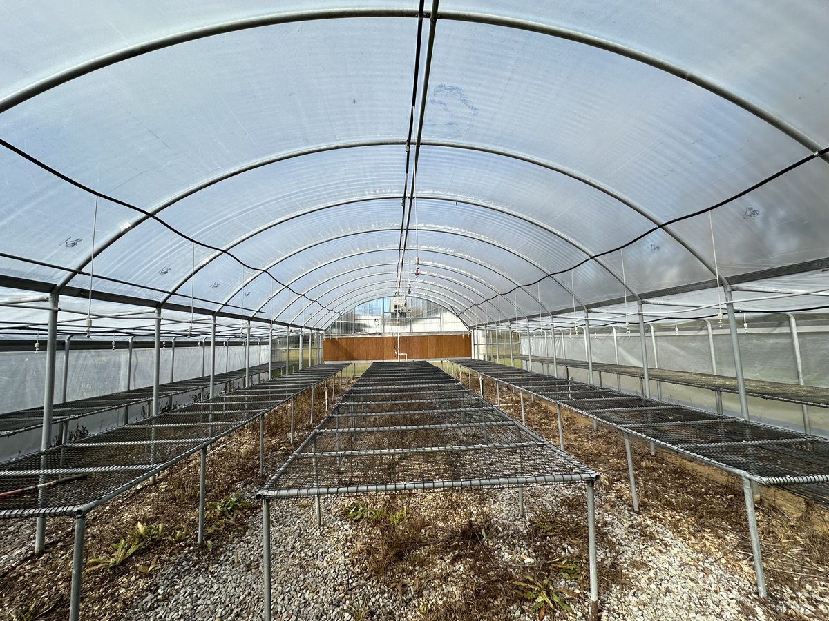 LACleanH2Energy's tweet image. A $50,000 grant from the Air Products Foundation to Livingston Parish will help the Maurepas School rebuild its greenhouse, which was destroyed by Hurricane Ida in 2021. Read more here: brnw.ch/21wS0Lo