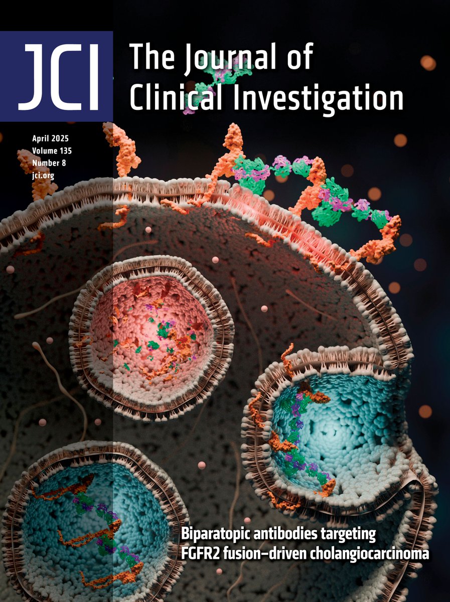 ASCI (@the_asci) on Twitter photo Antibodies that suppress tumor growth in a challenging cancer!
This issue’s cover features work by ASCI member William R. Sellers & team <a href="/broadinstitute/">Broad Institute</a> on the identification of biparatopic FGFR2 antibodies that are effective against FGFR2 fusion-driven cholangiocarcinoma: Antibodies that suppress tumor growth in a challenging cancer!
This issue’s cover features work by ASCI member William R. Sellers & team <a href="/broadinstitute/">Broad Institute</a> on the identification of biparatopic FGFR2 antibodies that are effective against FGFR2 fusion-driven cholangiocarcinoma: