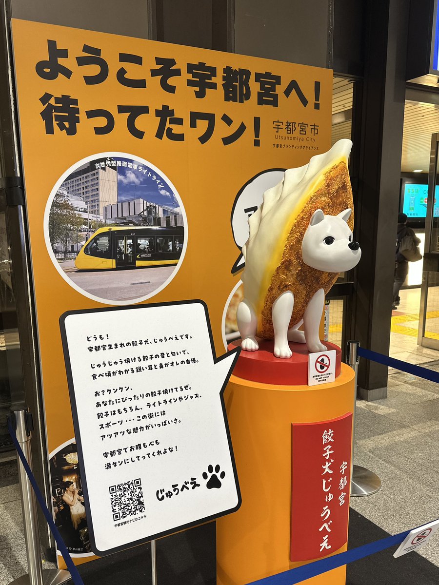 先日は宇都宮、本日は越谷とコンサート。
どちらも大いに盛り上がりました！！
叩きまくり。
最近写真を撮り忘れがちですが、フォルダを見返したらイッヌ🥟