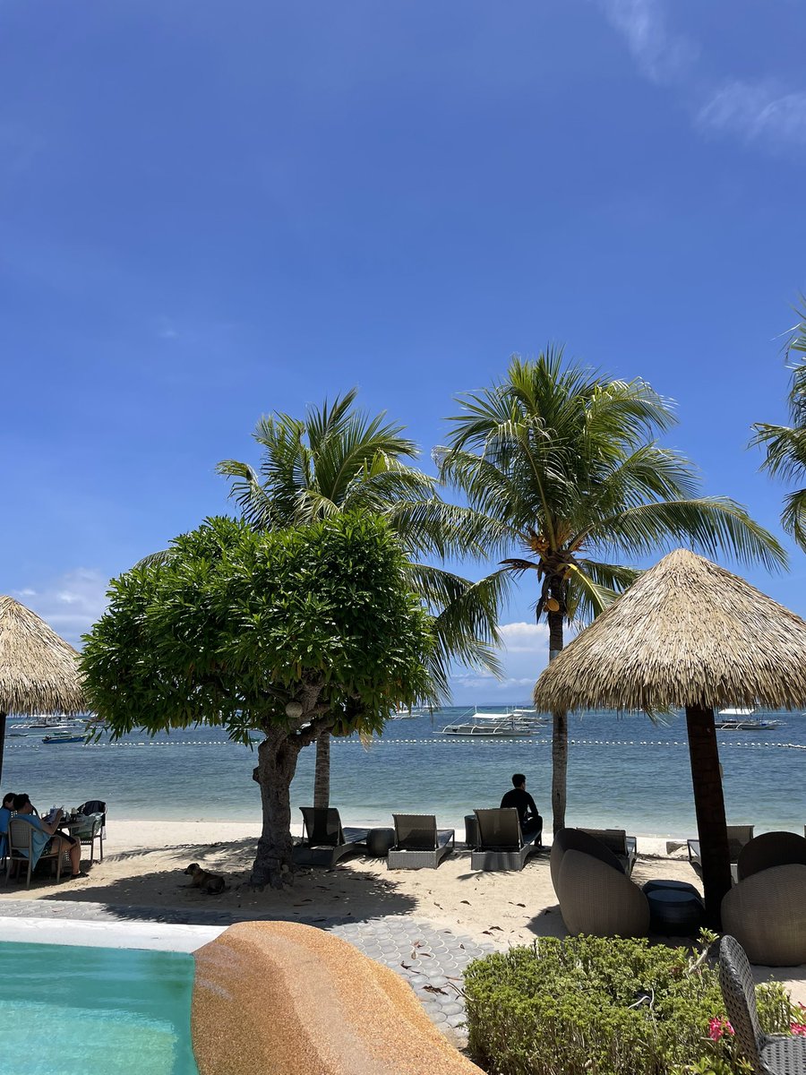 필리핀 보홀 너무 예쁘죠?
이번 여행은 보홀은 어떠신가요?
아름다운 바다에서 즐기는 여유를 만끽하러 오세요!! 가이드 문의는 언제나 환영~~

#보홀커플 #보홀여행 #보홀부부 #보홀 #보홀가이드 #보홀투어 #필리핀여행 #세부 #세부여행