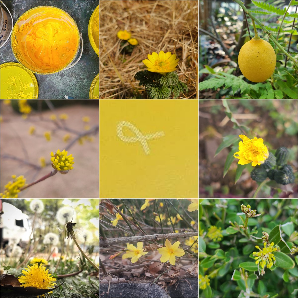 2025년의 노랑 🎗