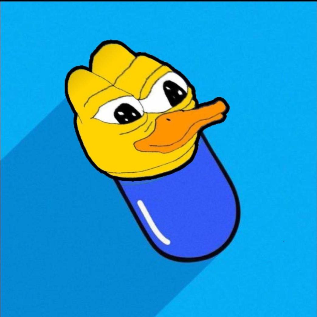 DUCK | BNB tweet media