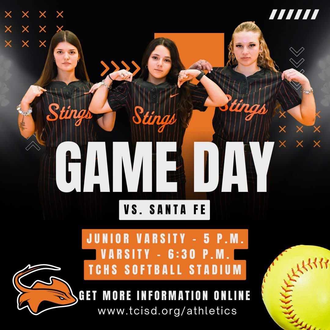 Lady Stings Softball tweet media