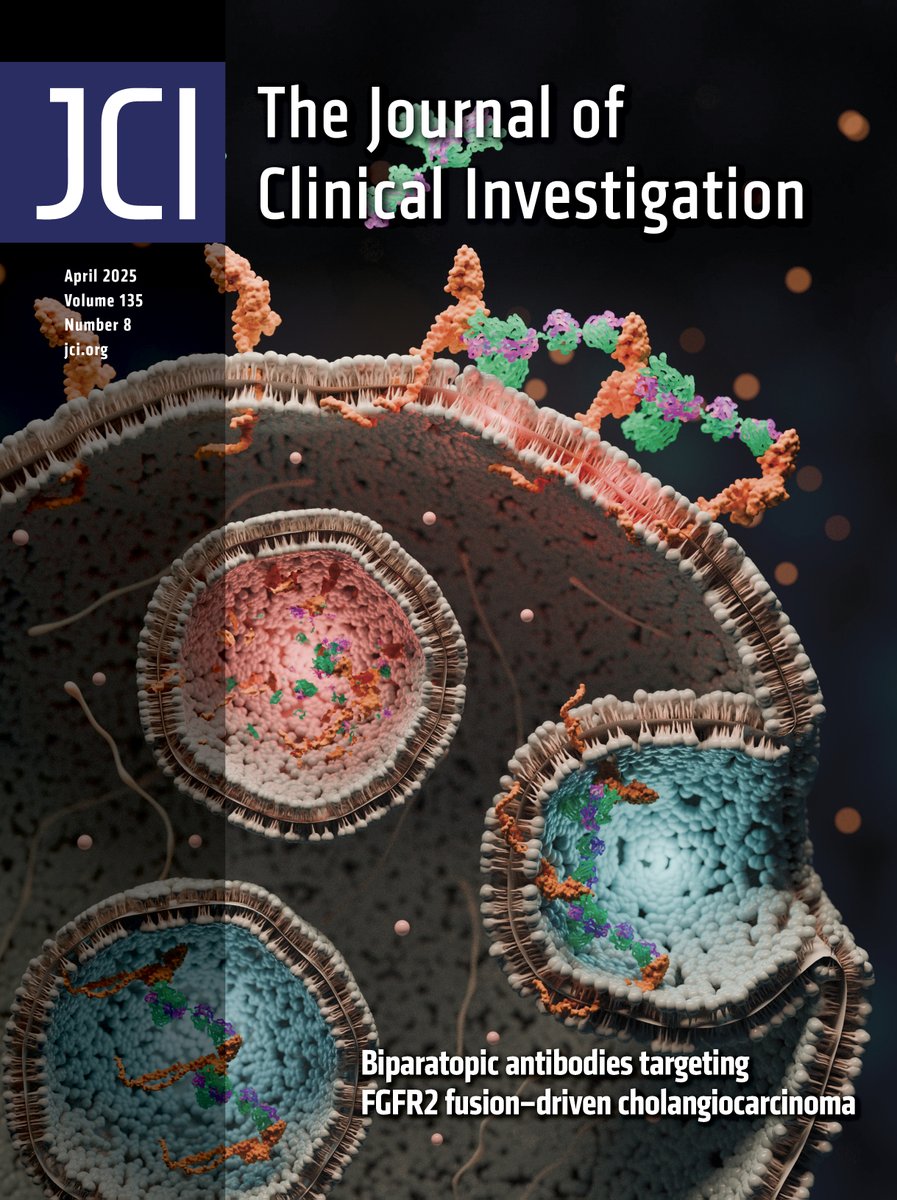 Journal of Clinical Investigation (@jclinicalinvest) on Twitter photo Antibodies that suppress tumor growth in a challenging cancer!
This issue’s cover features work by William R. Sellers & team <a href="/broadinstitute/">Broad Institute</a> on the identification of biparatopic FGFR2 antibodies that are effective against FGFR2 fusion-driven cholangiocarcinoma. Antibodies that suppress tumor growth in a challenging cancer!
This issue’s cover features work by William R. Sellers & team <a href="/broadinstitute/">Broad Institute</a> on the identification of biparatopic FGFR2 antibodies that are effective against FGFR2 fusion-driven cholangiocarcinoma.