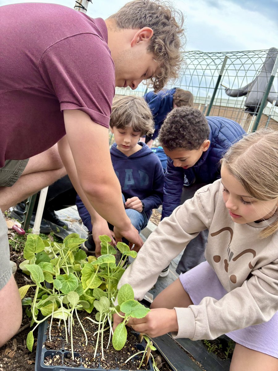 GreenbrierElementarySchoolVA (@greenbrierelem) on Twitter photo Thank you, CHS Urban Farming and community partners, for helping our third graders explore the question of, “How does food get to your table?” We LOVED learning with you today! <a href="/CvilleSchools/">Charlottesville City Schools</a> Thank you, CHS Urban Farming and community partners, for helping our third graders explore the question of, “How does food get to your table?” We LOVED learning with you today! <a href="/CvilleSchools/">Charlottesville City Schools</a>