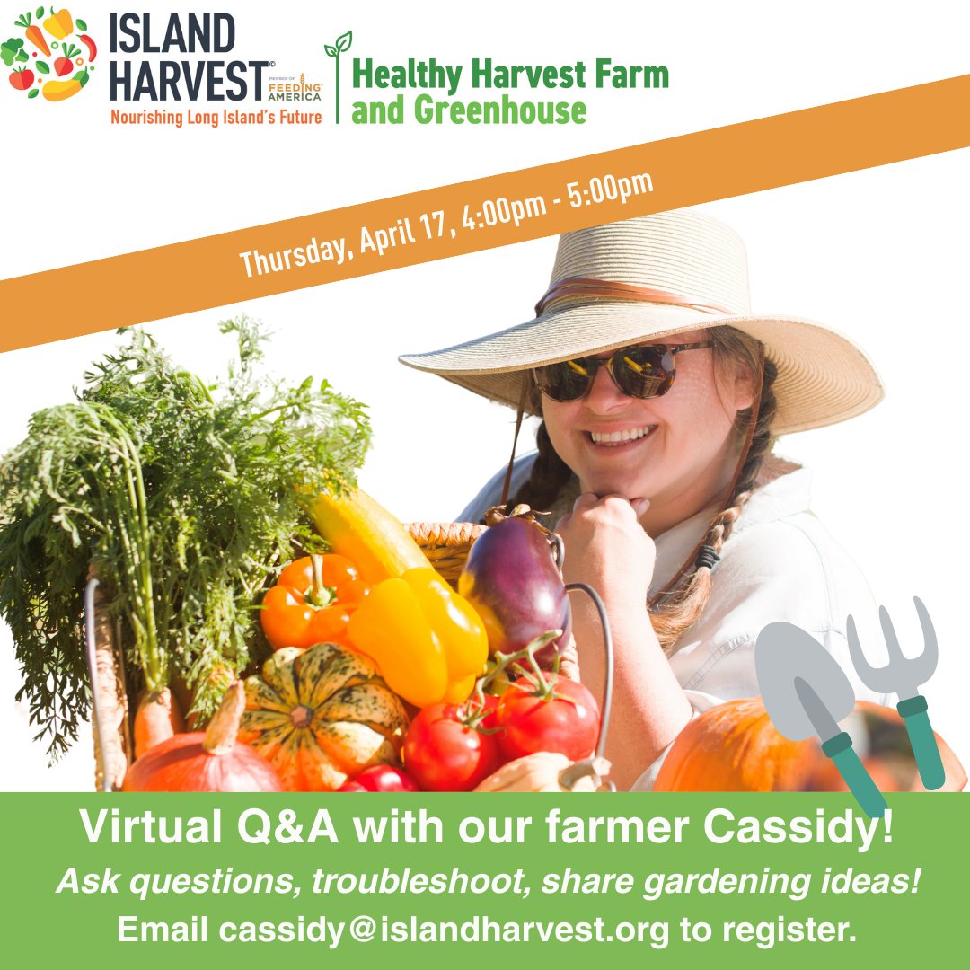 Island Harvest (@islandharvest) on Twitter photo 🌱 Calling all gardeners! 🌱
Join us this Thursday, April 17, from 4–5 PM for a virtual Q&A with our farmer Cassidy! Got questions? Bring them! 🌻
📩 Register by emailing: cassidy@islandharvest.org 🌱 Calling all gardeners! 🌱
Join us this Thursday, April 17, from 4–5 PM for a virtual Q&A with our farmer Cassidy! Got questions? Bring them! 🌻
📩 Register by emailing: cassidy@islandharvest.org