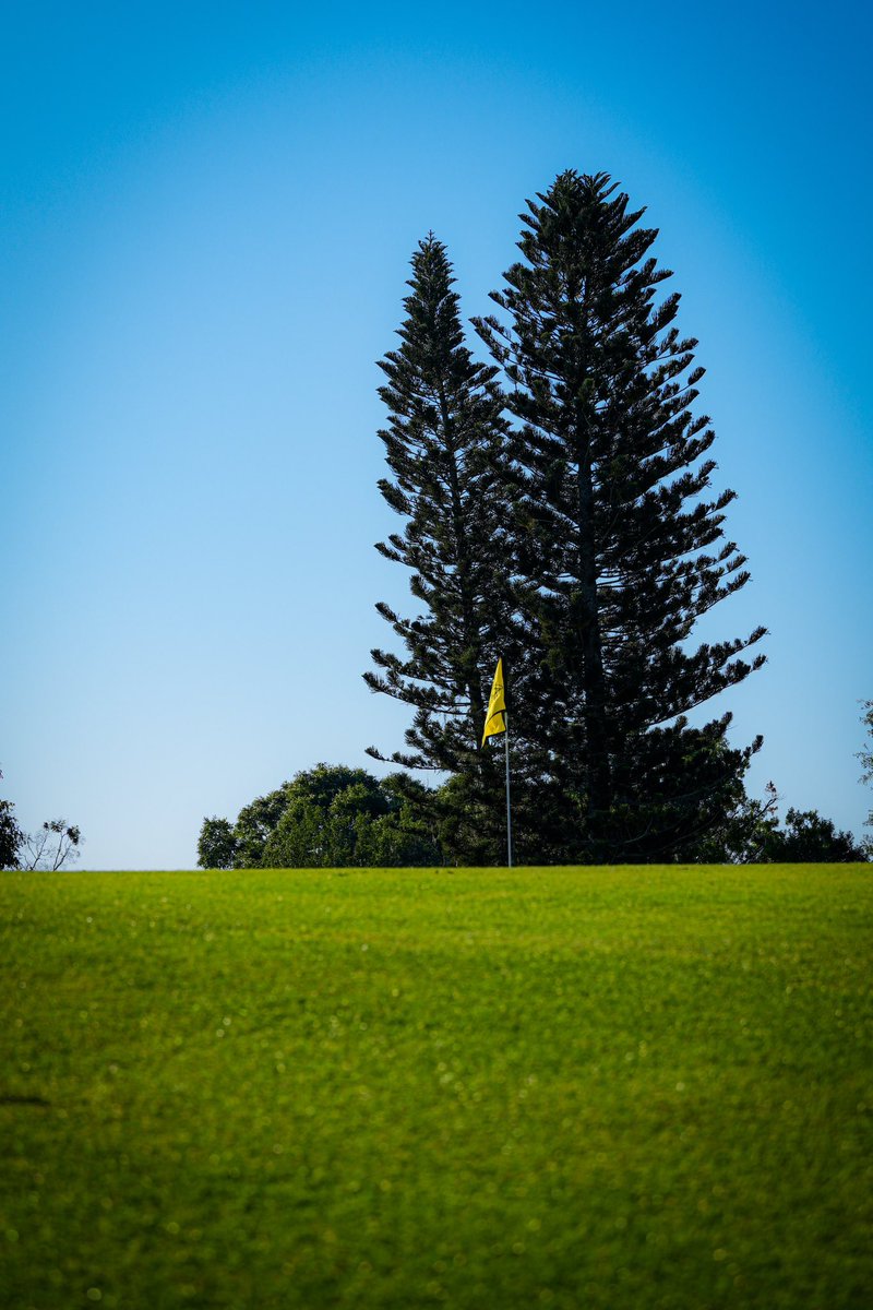 APBayHill's tweet image. Every detail at Bay Hill is crafted to calm the soul—perfect for forgetting that it’s tax day.
#BayHill