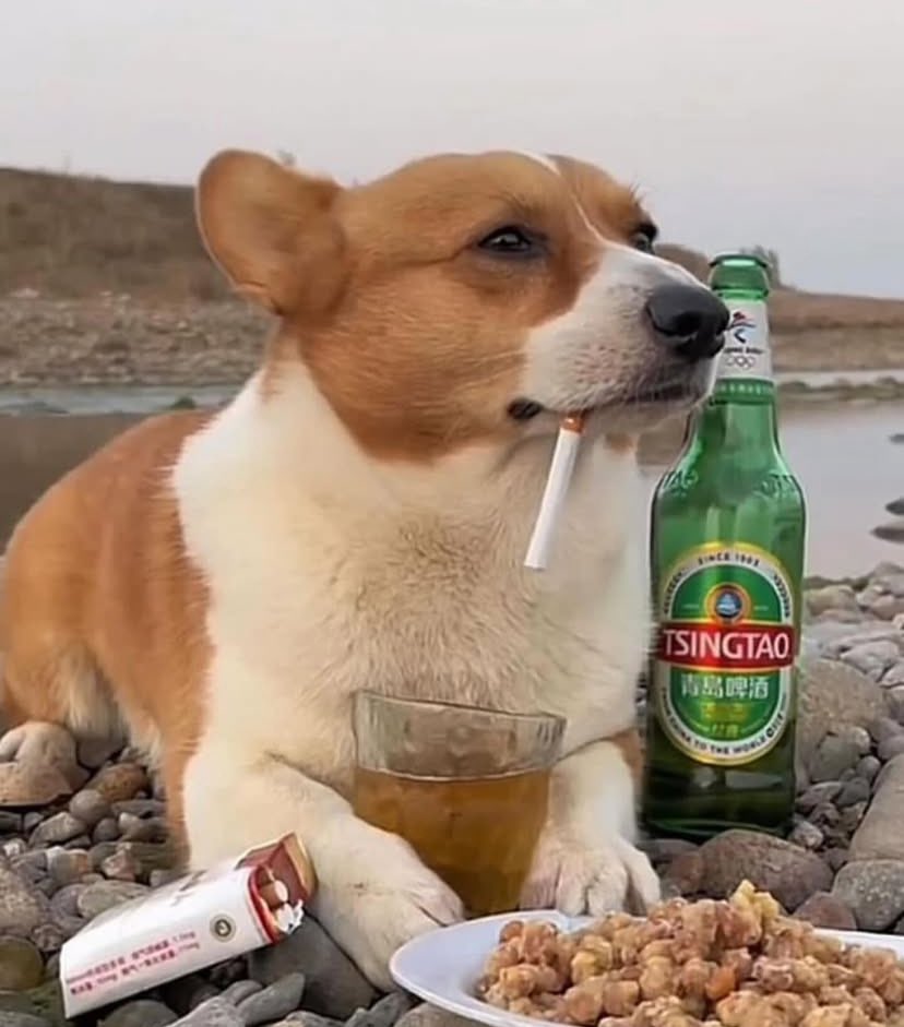 just learned a few chinese words