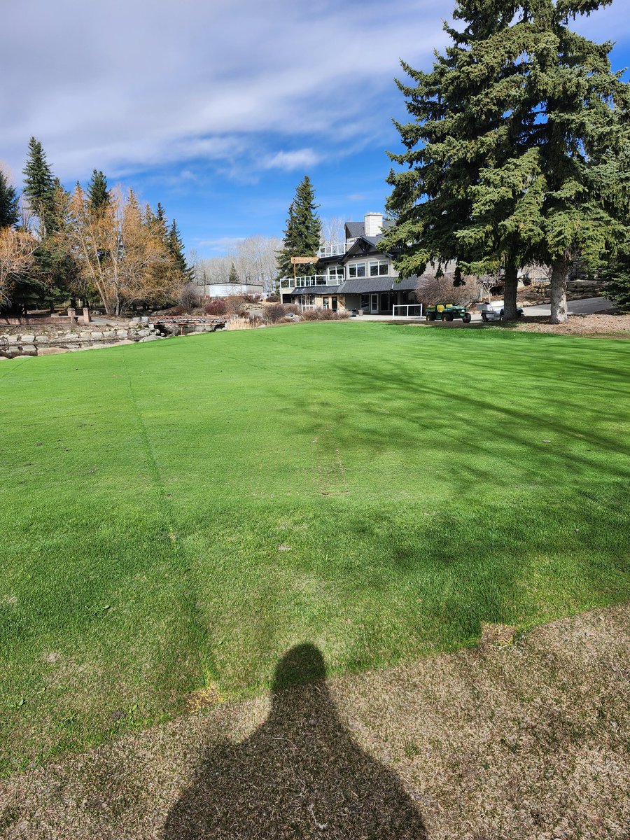 Dale Ekman tweet media