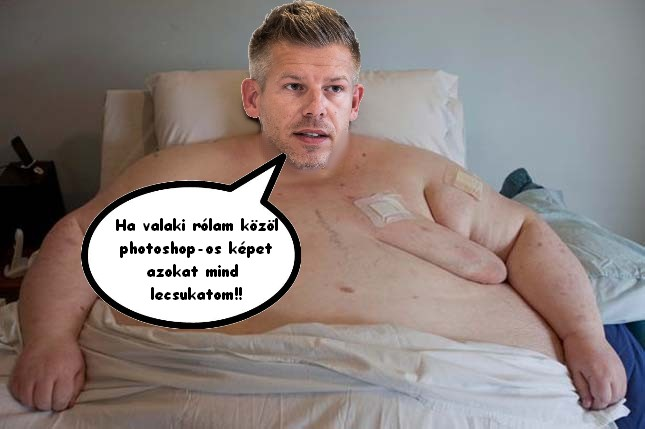 Kép