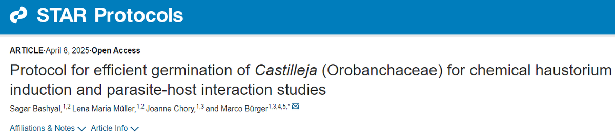 Sagar Bashyal (@sagarbashyal11) on Twitter photo Delighted to share this protocol with the scientific community. This is a follow up to the article:
sciencedirect.com/science/articl…
@lena_m_mueller
<a href="/plantxray/">Marco Bürger</a>
Joanne chory
Link: star-protocols.cell.com/protocols/4142 Delighted to share this protocol with the scientific community. This is a follow up to the article:
sciencedirect.com/science/articl…
@lena_m_mueller
<a href="/plantxray/">Marco Bürger</a>
Joanne chory
Link: star-protocols.cell.com/protocols/4142