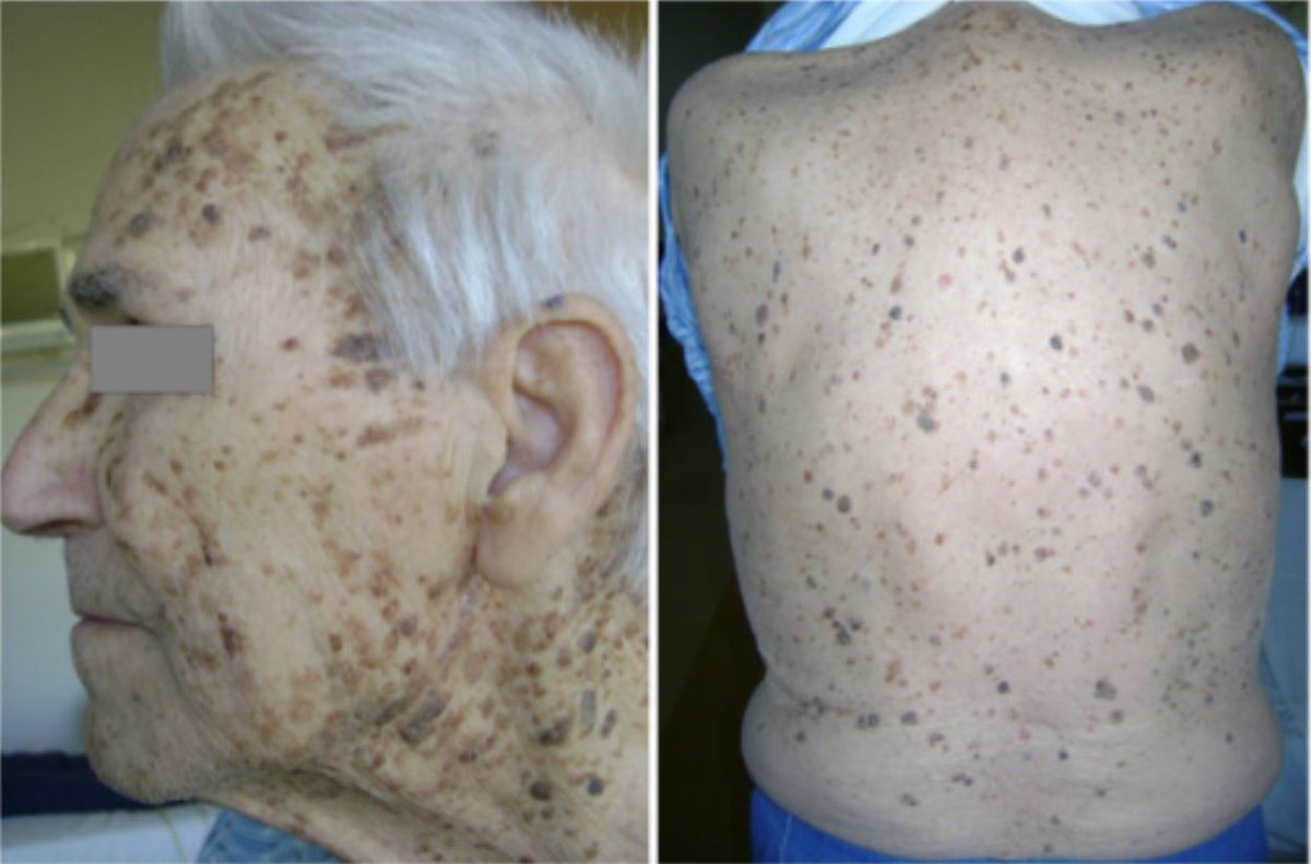 Dr Ihab Suliman tweet media