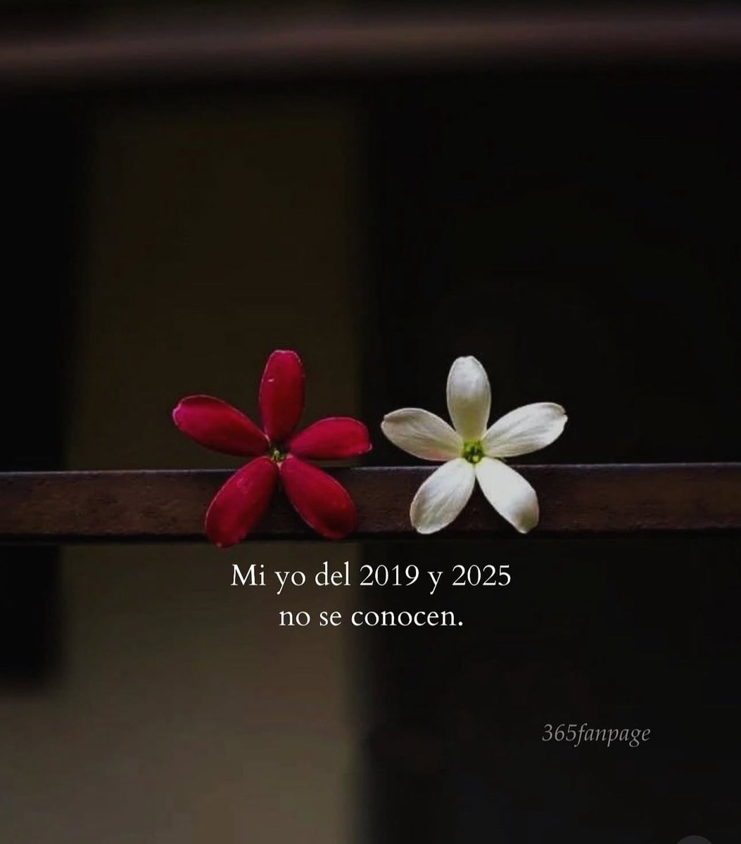 Frases Barbie tweet media