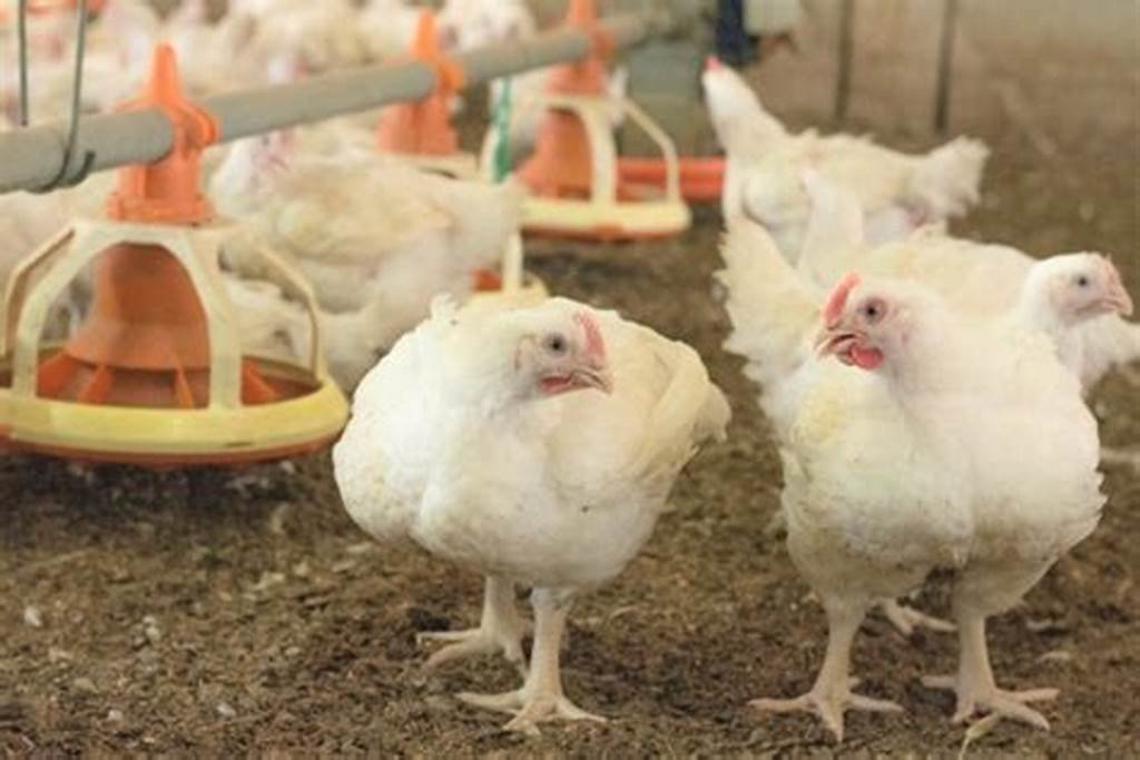 ZamukaGreenSol's tweet image. IF YOU BELIEVE TO BE A #SUCCESSFUL MAN OR WOMAN, ALWAYS KEEP THESE TWO #PRINCIPLES WITH YOU: 

No 1. &quot;Try and fail,but don&apos;t fail to try.&quot;
John Quincy Adams

No 2. &quot;Most great people have attained their greatest success just one step beyond their greatest failure.&quot; Napoleon Hill