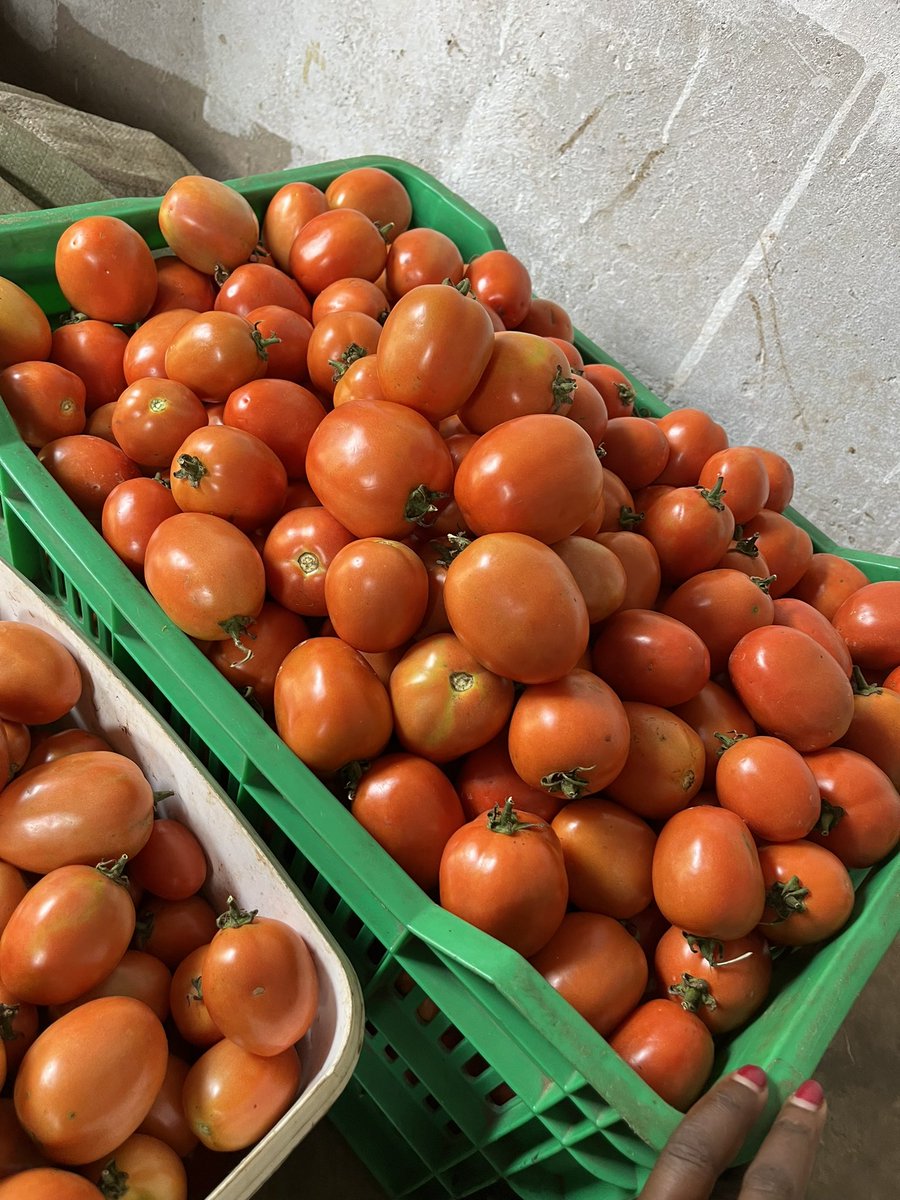 ZamukaGreenSol's tweet image. IF YOU BELIEVE TO BE A #SUCCESSFUL MAN OR WOMAN, ALWAYS KEEP THESE TWO #PRINCIPLES WITH YOU: 

No 1. &quot;Try and fail,but don&apos;t fail to try.&quot;
John Quincy Adams

No 2. &quot;Most great people have attained their greatest success just one step beyond their greatest failure.&quot; Napoleon Hill