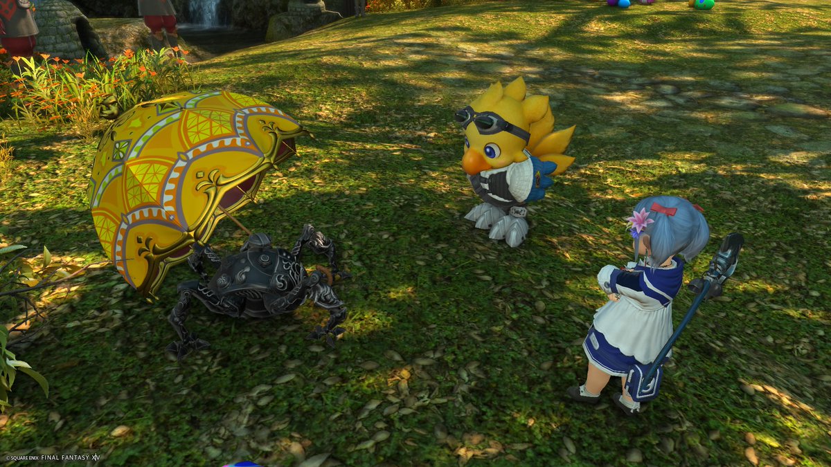 エッグなんちゃら楽しんでてイイ！