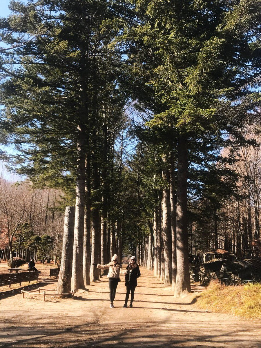 ndanhthu89's tweet photo. I want to return to Korea next autumn. I really love the food and the weather there.🥰 https://t.co/gwyynF5Se7