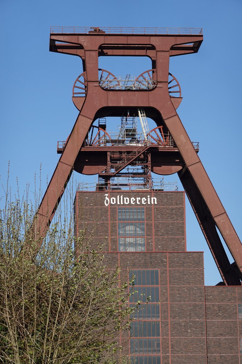 Lynn Pearson tweet media