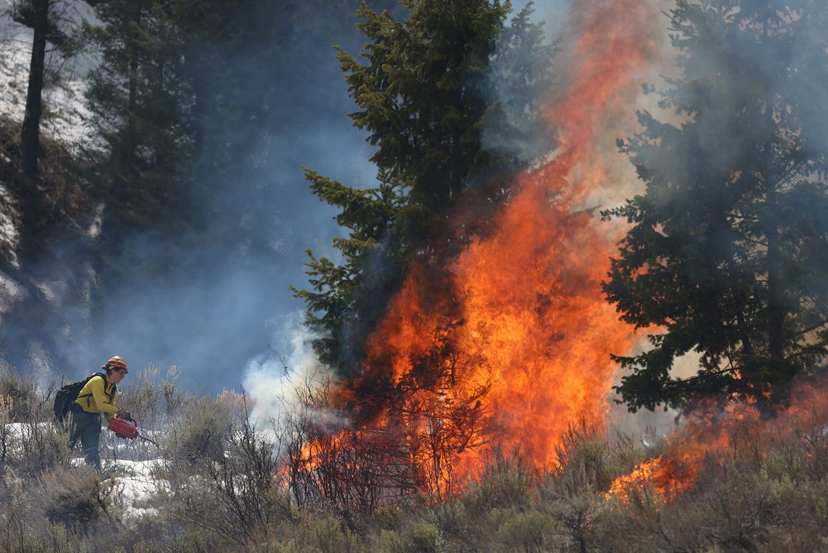 The BTNF is planning to continue with prescribed fire operations on Munger Mountain south of Jackson today. Fire managers are planning to begin ignitions around mid-day with smoke likely visible throughout the afternoon.