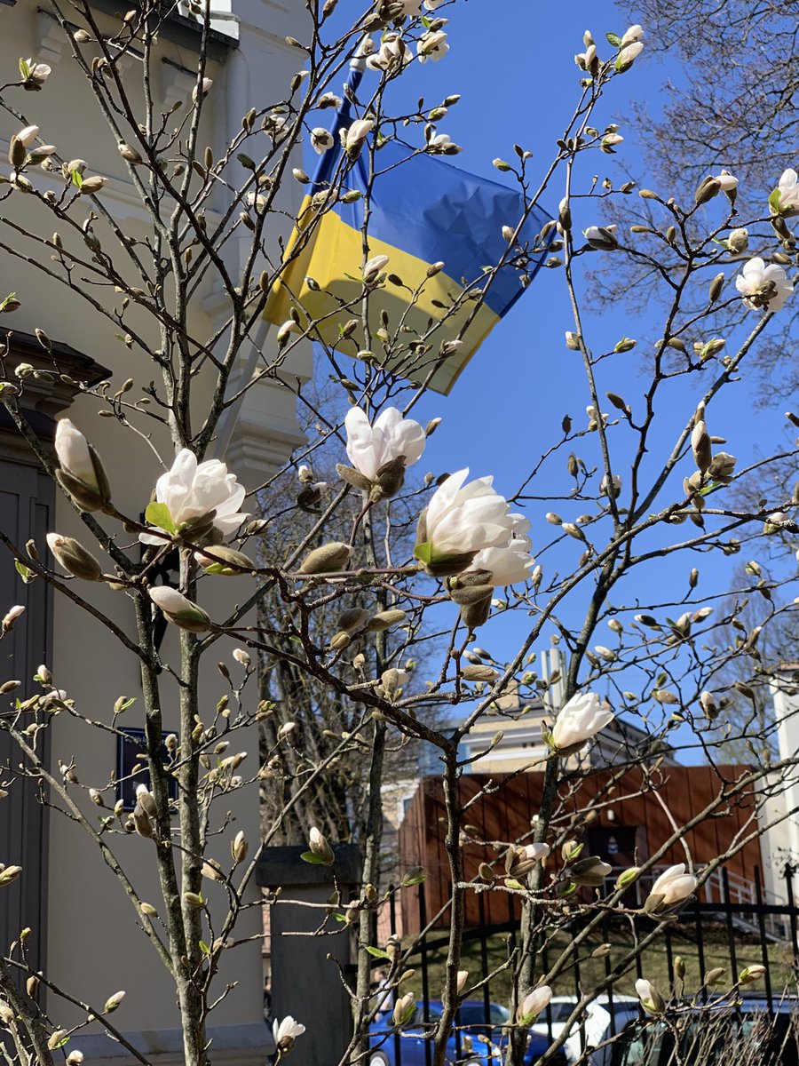 MMeistere's tweet image. #pavasaris #aprīlis