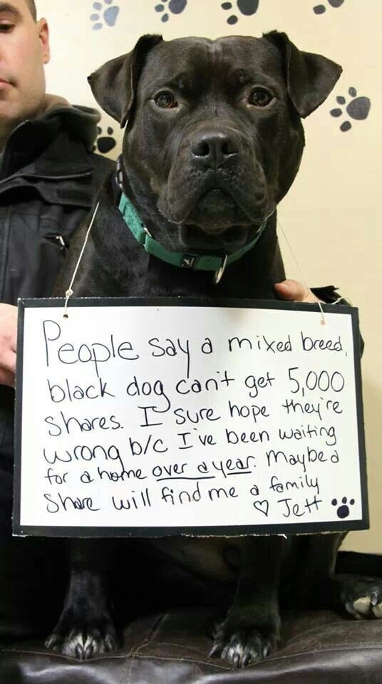 The Four Hearts (@t4hrts) on Twitter photo 