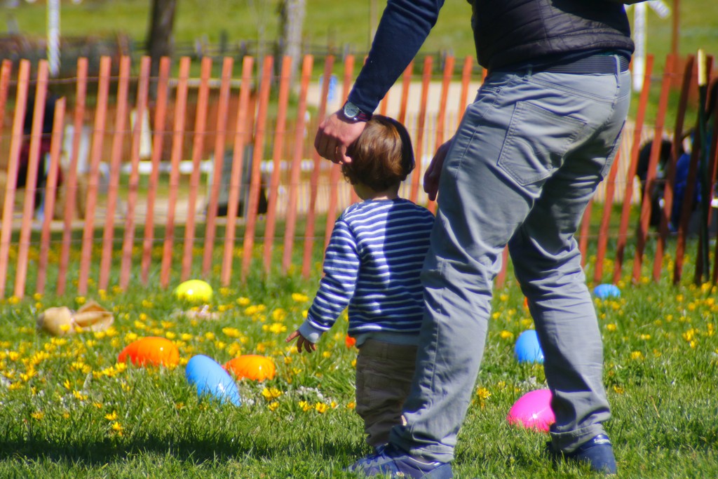 Roaring Camp tweet media