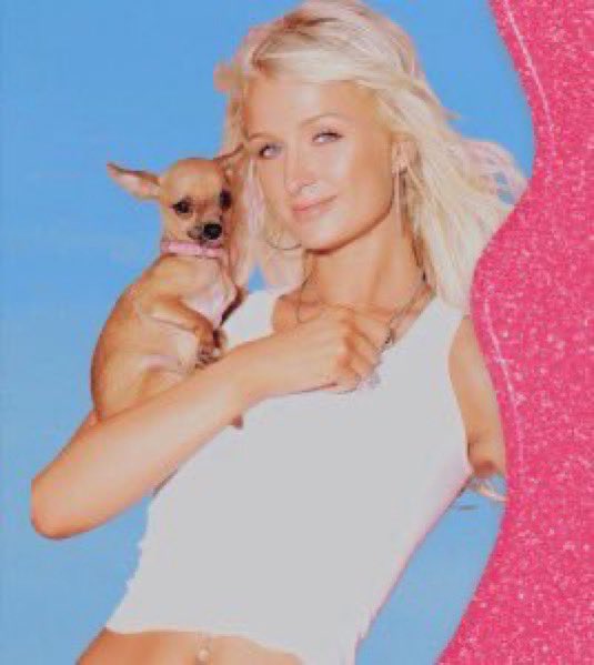 ᅟᅟ ᅟᅟ ᅟᅟ 𝓶𝘶͟𝘴͟𝘩͟𝘳͟𝘰͟𝘰͟𝘮͟ 𝓰𝘰𝘴𝘴𝘪𝘱𝘴 . tweet media