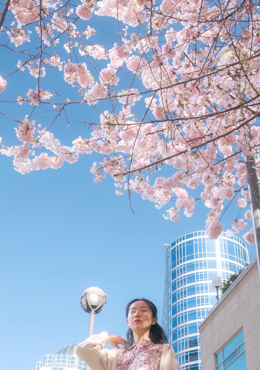 OhKero 🐸 tweet media