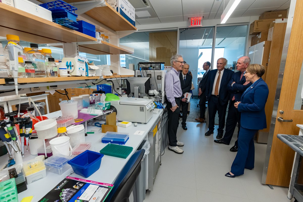 MassGovernor's tweet image. The scientists at @UMassChan are leading groundbreaking research into cancer, ALS, heart disease and more. They should be in the lab — but Trump's cuts to NIH put their work at risk.
My administration will always stand on the side of lifesaving research. We've got your back.