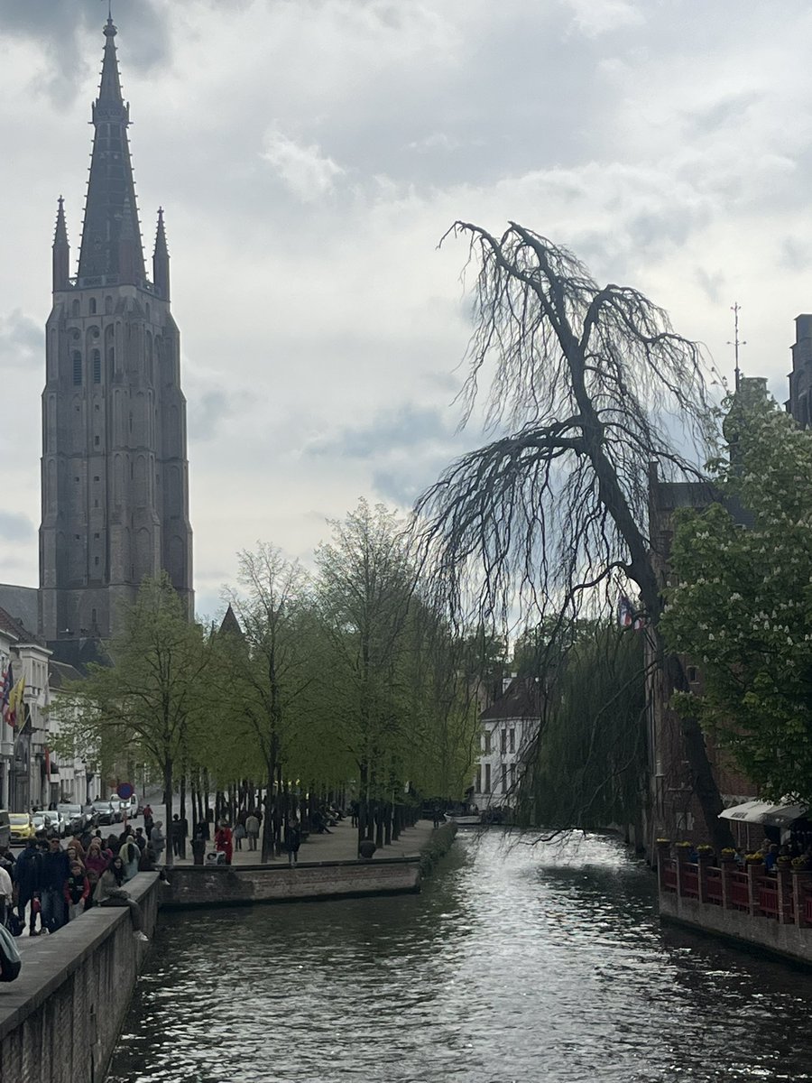 Signe Pike tweet media