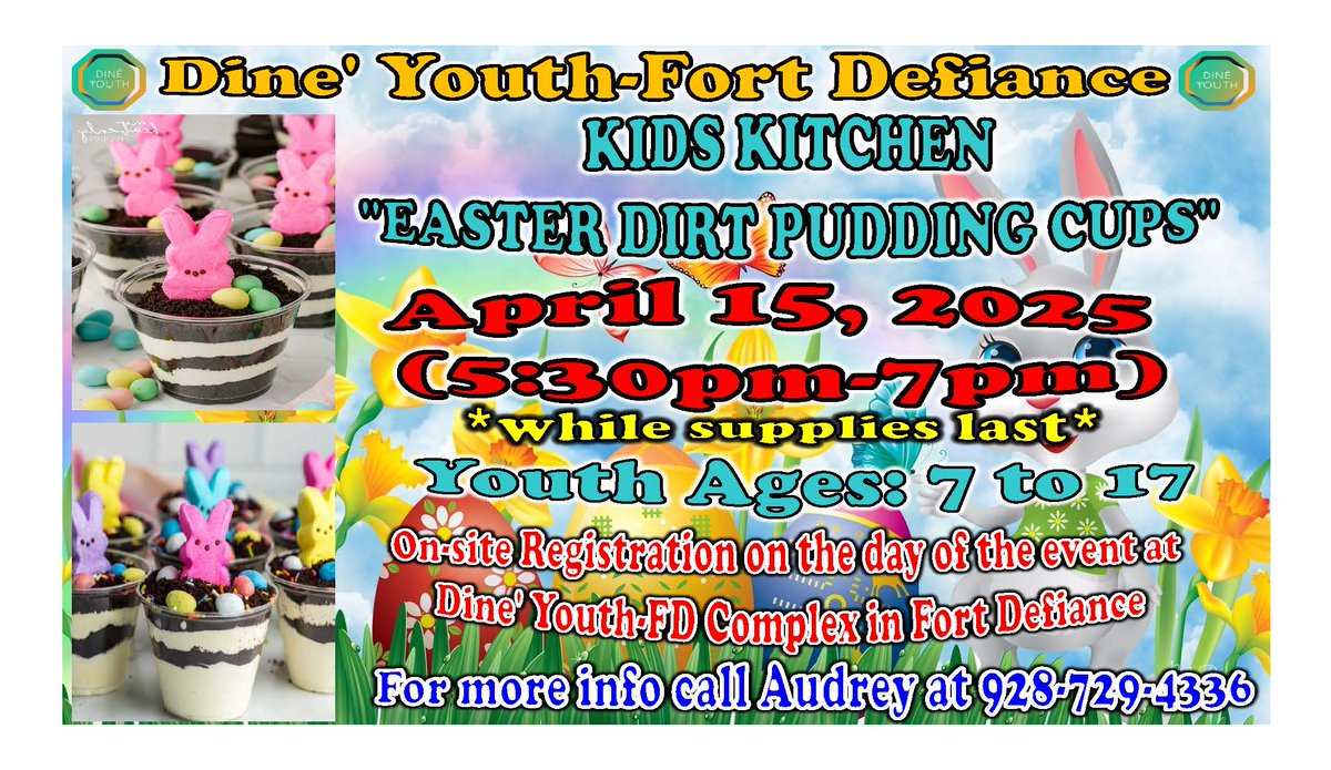 Navajo Nation Department of Diné Education tweet media