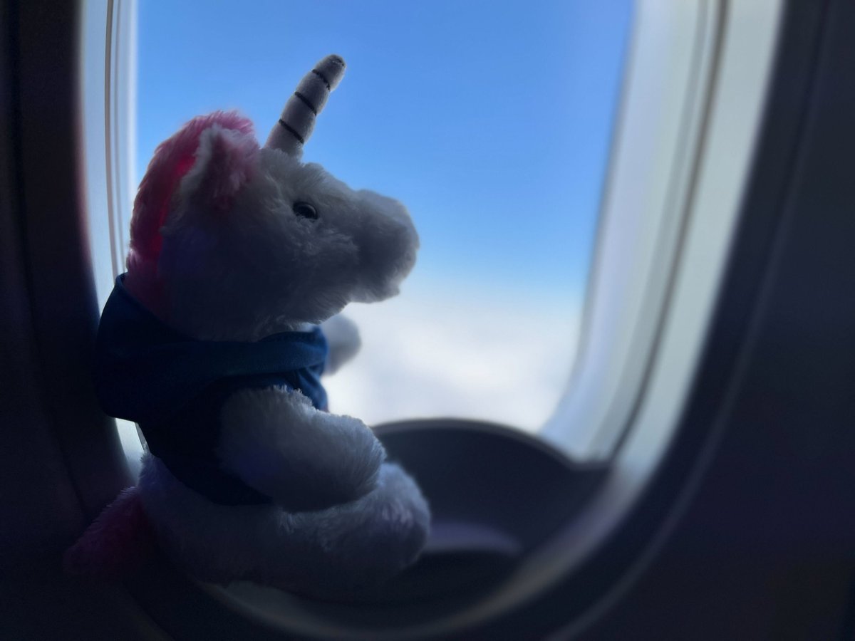 Pretzel and the WarriorBots have made it to Houston! <a href="/FRCTeams/">FIRST Robotics Competition</a> #FIRST #FRC #robotics #Championship