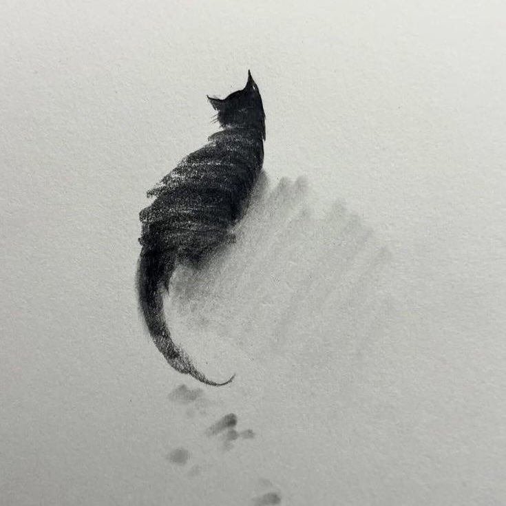 Cats by Shou Xin