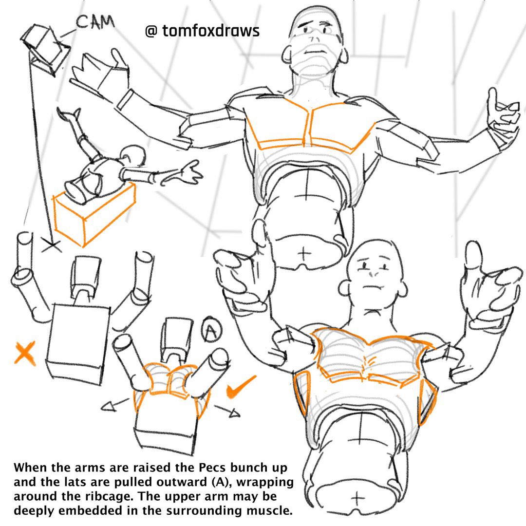 EtheringtonBrothers (@etheringtonbros) on Twitter photo Our feature artist/tutorial today this interesting set of ideas on CHEST MUSCLES, by the talented
<a href="/tomfoxdraws/">tomfoxdraws</a>! Some great thoughts here on MUSCLE FORM COMPRESSION! #characterdesign #manga #anime #illustration #gamedev #DRAW #DRAWING #art #comics Our feature artist/tutorial today this interesting set of ideas on CHEST MUSCLES, by the talented
<a href="/tomfoxdraws/">tomfoxdraws</a>! Some great thoughts here on MUSCLE FORM COMPRESSION! #characterdesign #manga #anime #illustration #gamedev #DRAW #DRAWING #art #comics