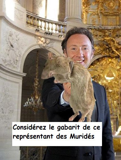 SALT | Lief tweet media