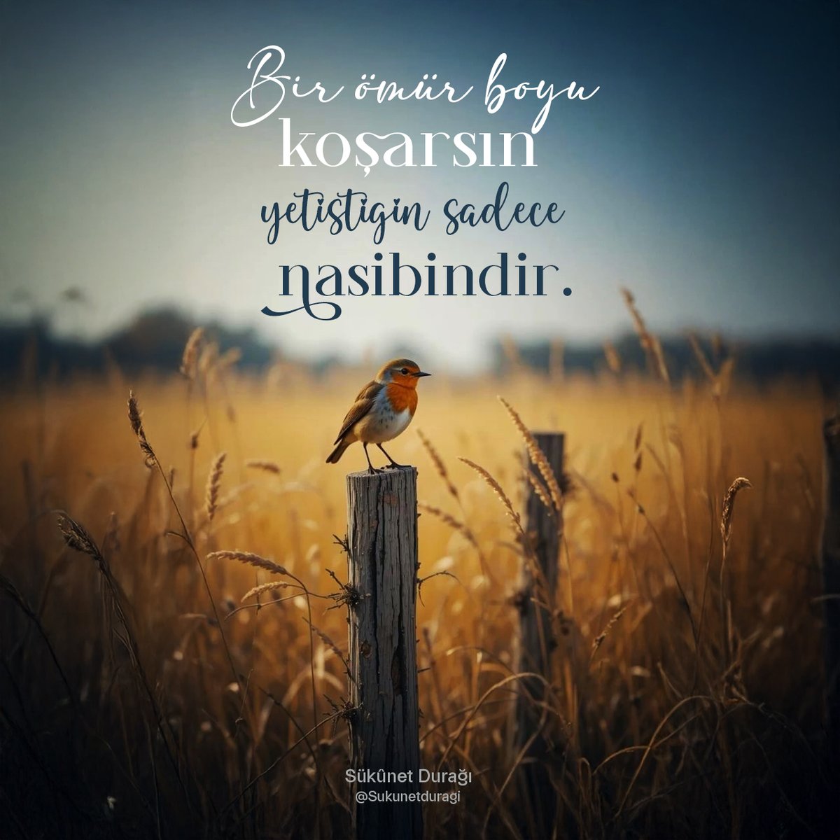 Sukunetduragi's tweet photo. "Bir ömür boyu koşarsın, yetiştiğin sadece nasibindir."

#TakeActionForGaza #FetihVakti Gazze İçin Harekete Geç https://t.co/3ZqN3NE444