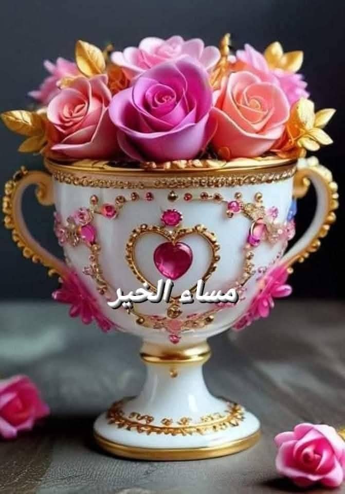 lb_mhmwd's tweet photo. @5ss_ss__ https://t.co/br17kappWG