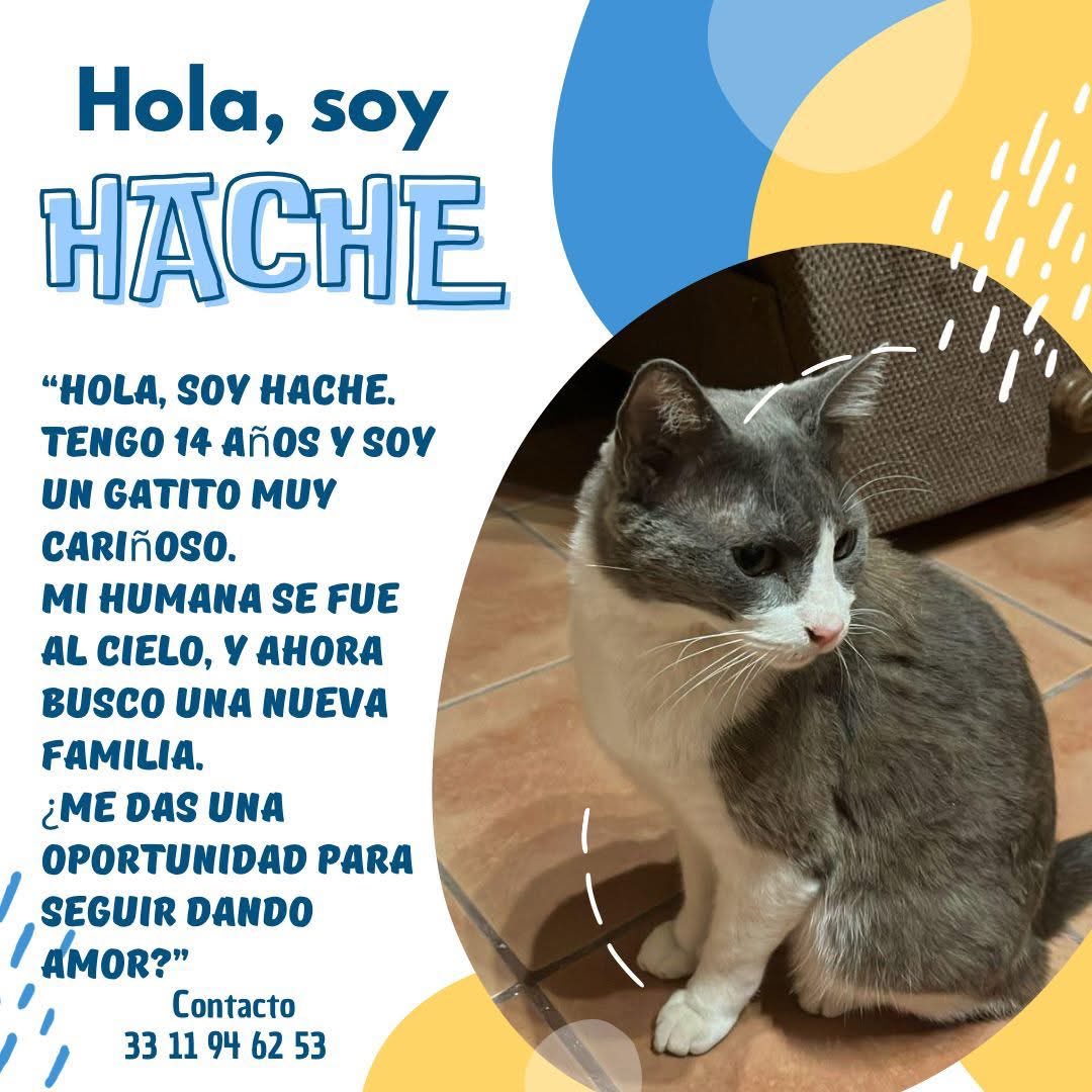 LordGatus's tweet photo. #Guadalajara https://t.co/2yakJnrhXh
