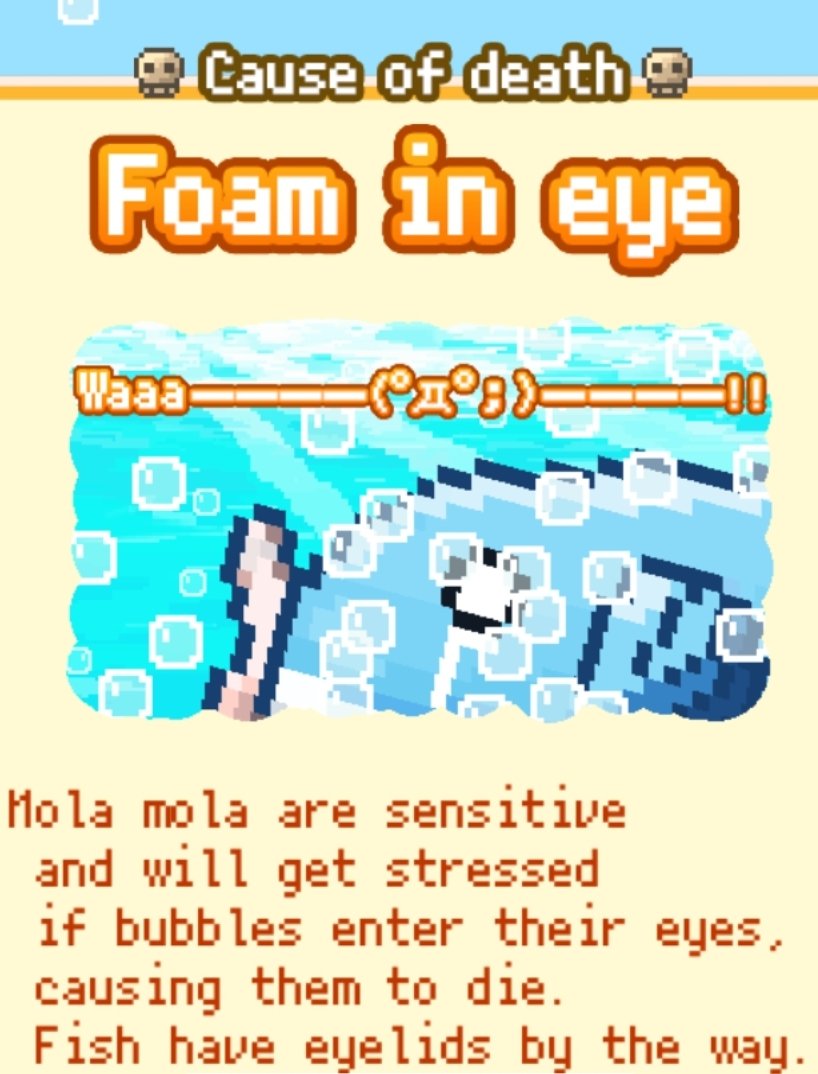 literally_horse's tweet photo. @fizhux 
Fish died :( https://t.co/C5b8B3nn7Y