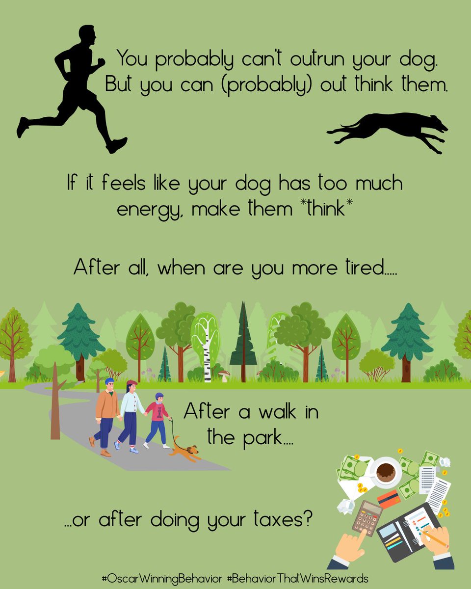 OscarWinning's tweet image. Athletes gain stamina by working out.  So attempting to get a relaxed dog by running them can often just mean it&apos;s harder to tire them out next time!

Training, puzzles, and various brain games can go a long way in actually tiring your dog out.

#BehaviorThatWinsRewards #Taxes