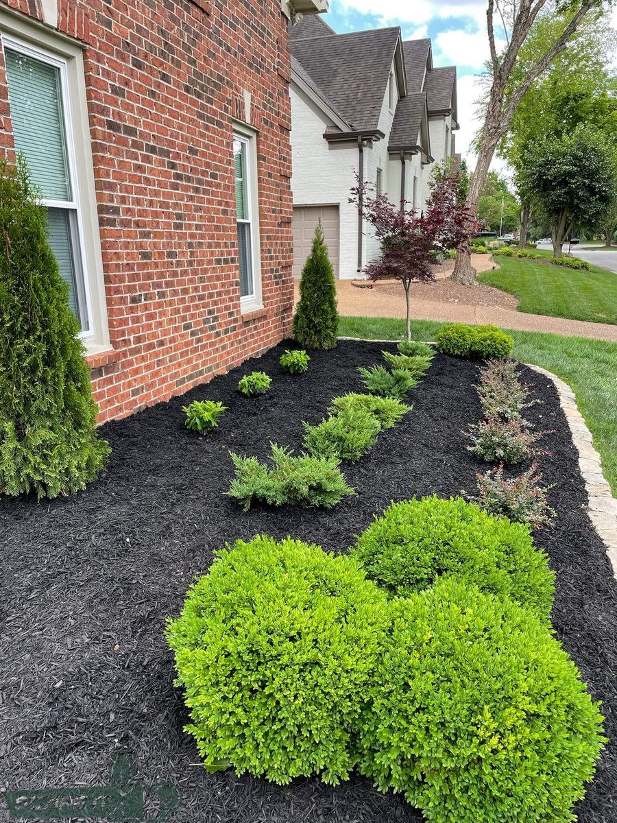 goscapeit's tweet photo. April showers are great — but don’t rely on rain alone! A professionally installed irrigation system keeps your lawn healthy all season.
Get a free quote: 615-946-2290 or https://t.co/T2q0SLa9SM

#SmartIrrigation #HealthyLawn #TennesseeYards https://t.co/vOebo9sTI7