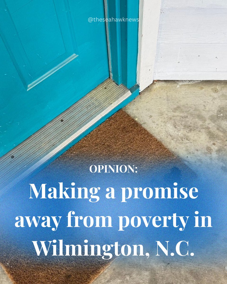 The Seahawk tweet media